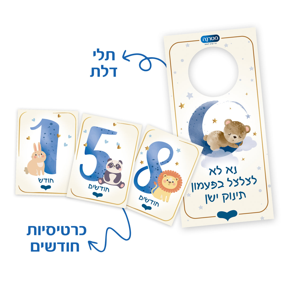 תלי דלת וכרטיסיות חודשים
